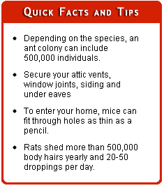 McDanial Pest Control - Facts and Tips